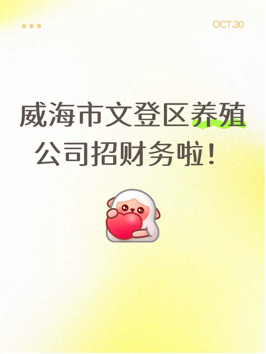 文登区招财务啦！！！