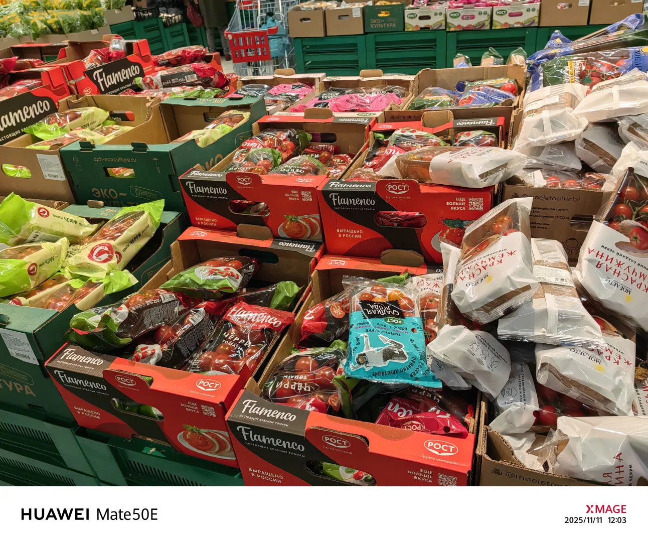 莫斯科自由行第一天