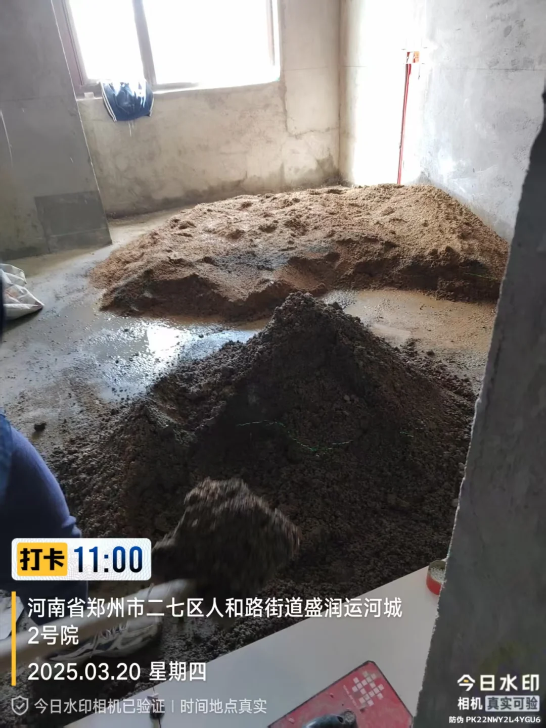 水泥大沙～砂石水泥，自装，家装。