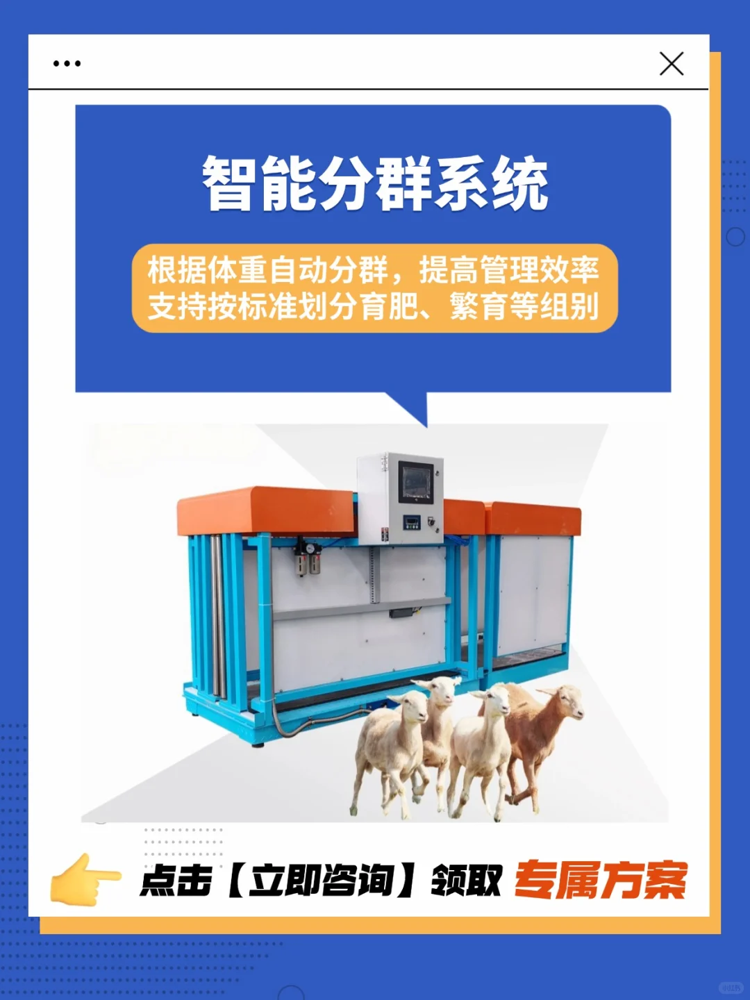 郑州邦茂｜智能称重系统，助力畜牧管理升级