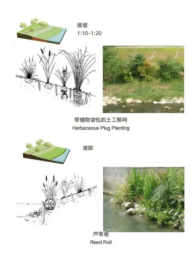 分析图|12类河岸生态修复的方法