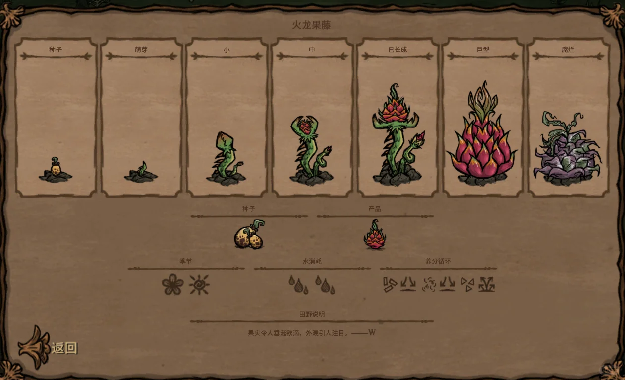 饥荒内14种类型的种子对应图鉴