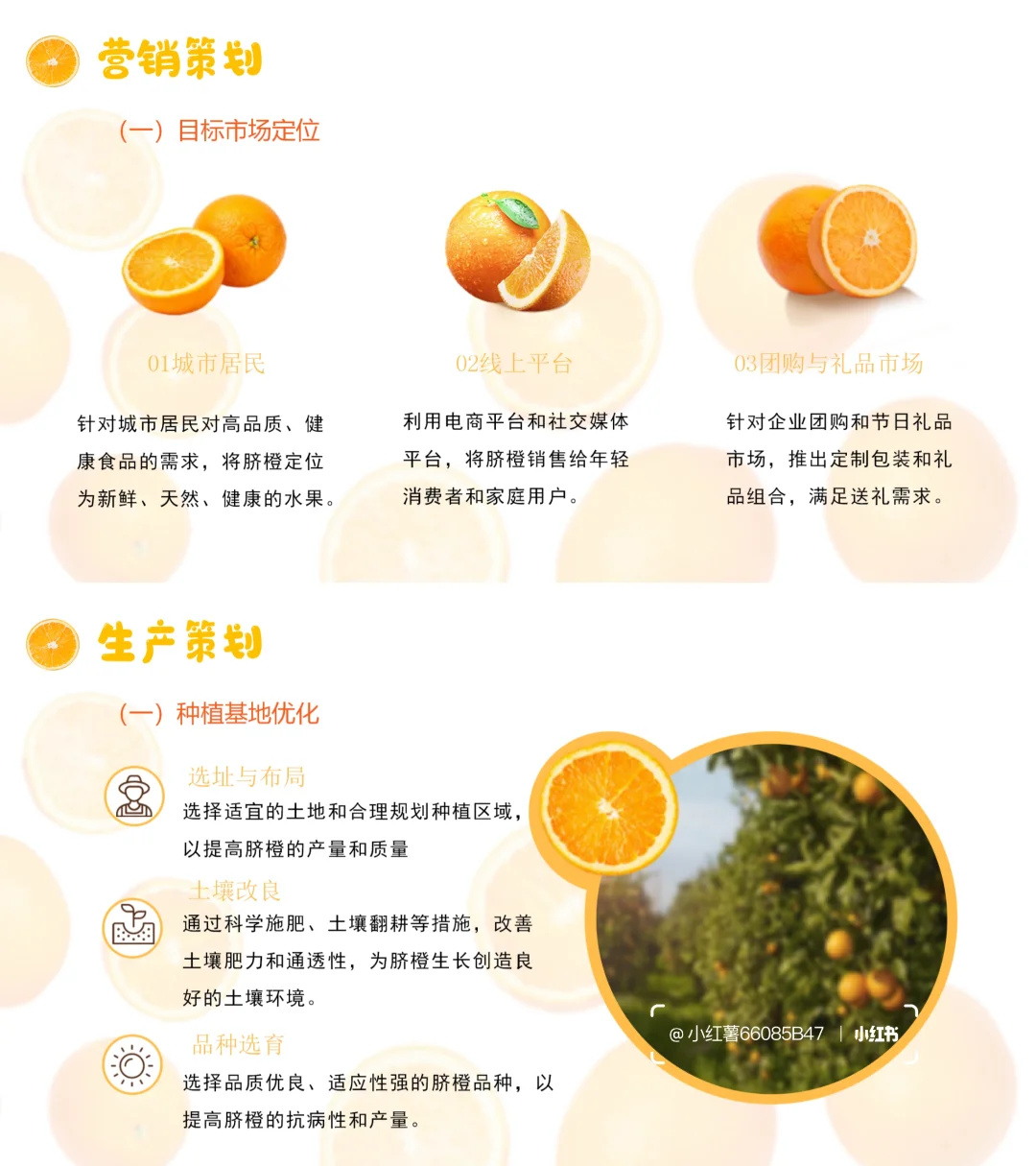 【带内容】脐橙助农项目策划方案PPT模板