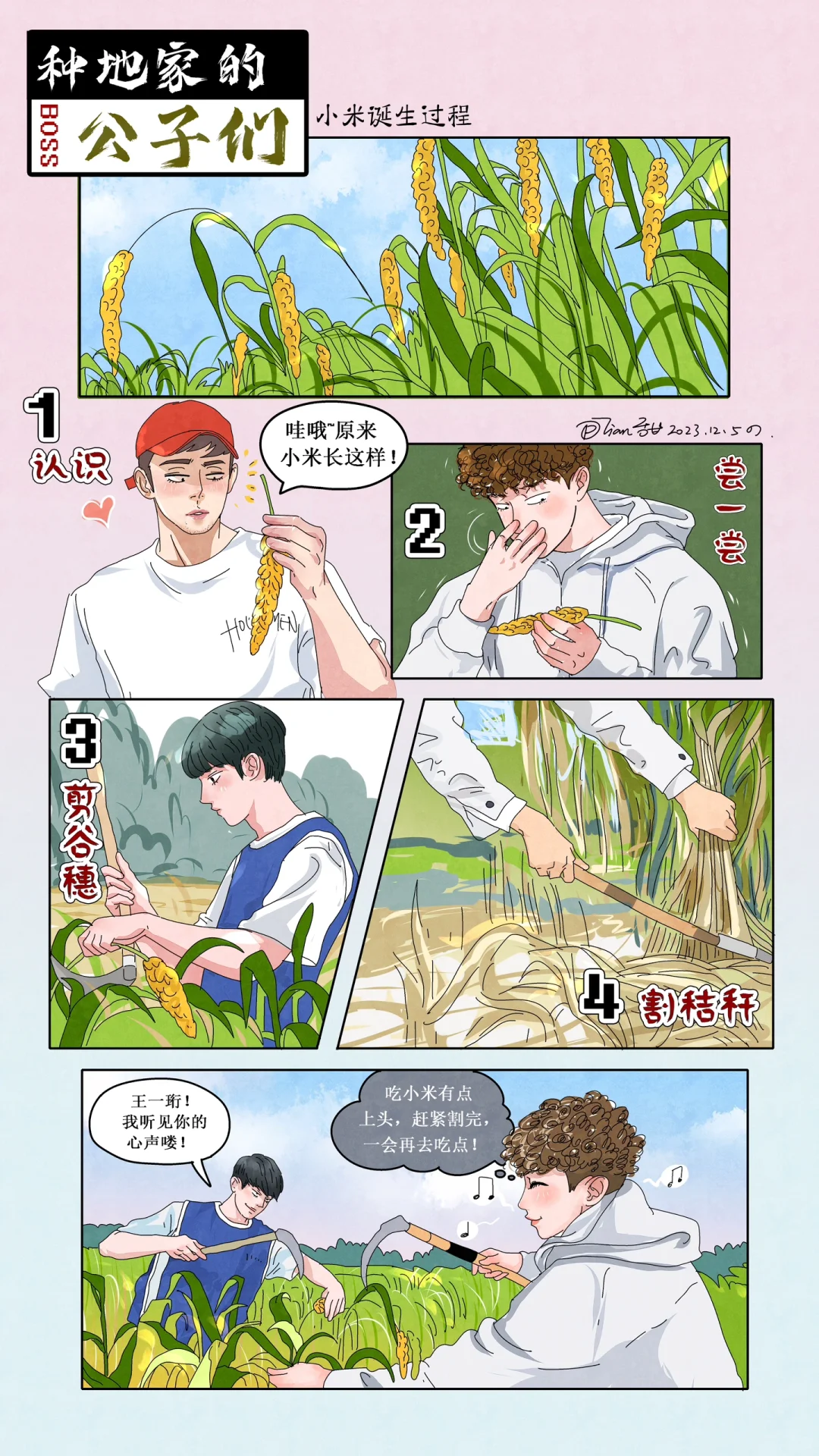小米诞生过程