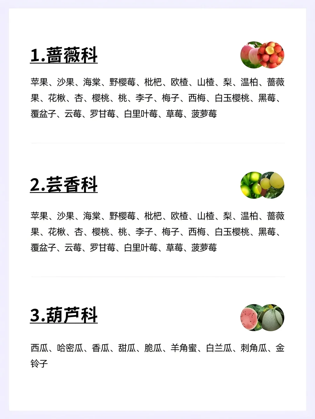 水果分类大全