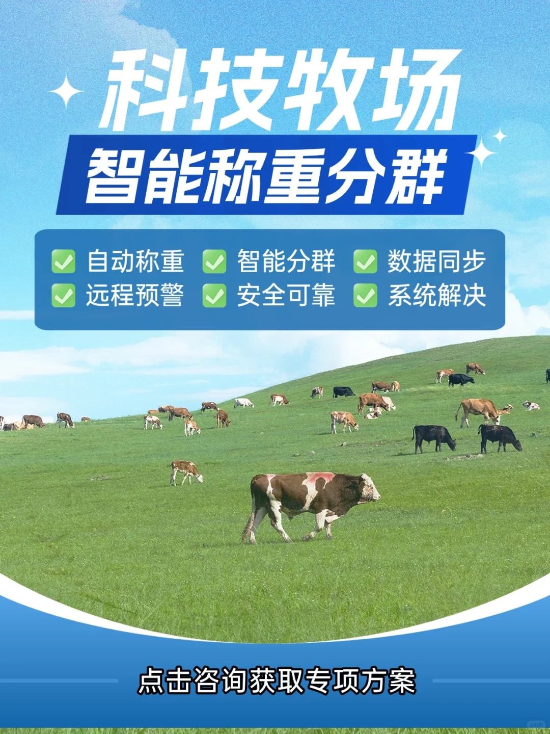 科技牧场 | 智能称重分群，效率安全双提升