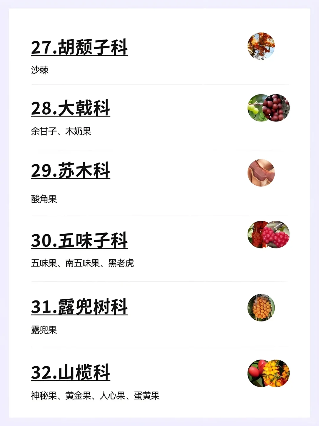 水果分类大全