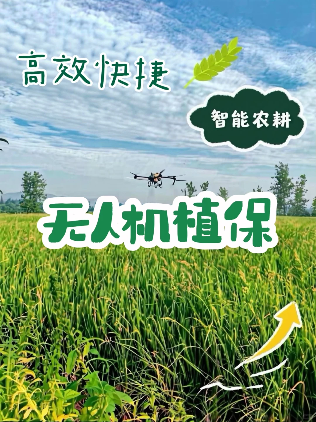 无人机飞手接单? 专业靠谱不踩坑！