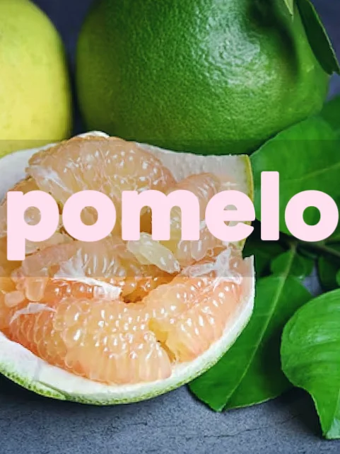 食材笔记45｜柚子：风味特征、调酒应用、糖浆