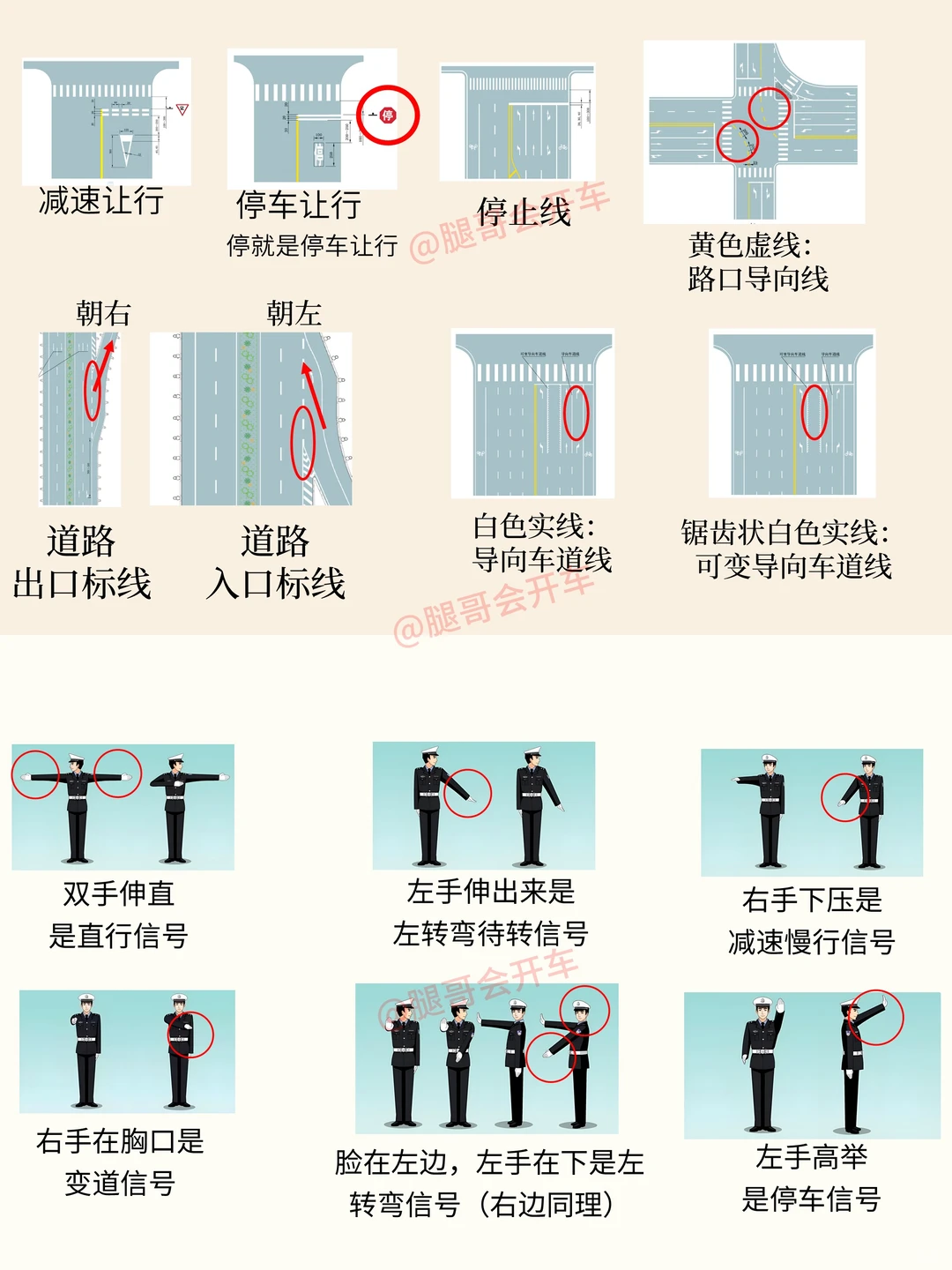 2025年科一必考交通标志大全，看完真能过