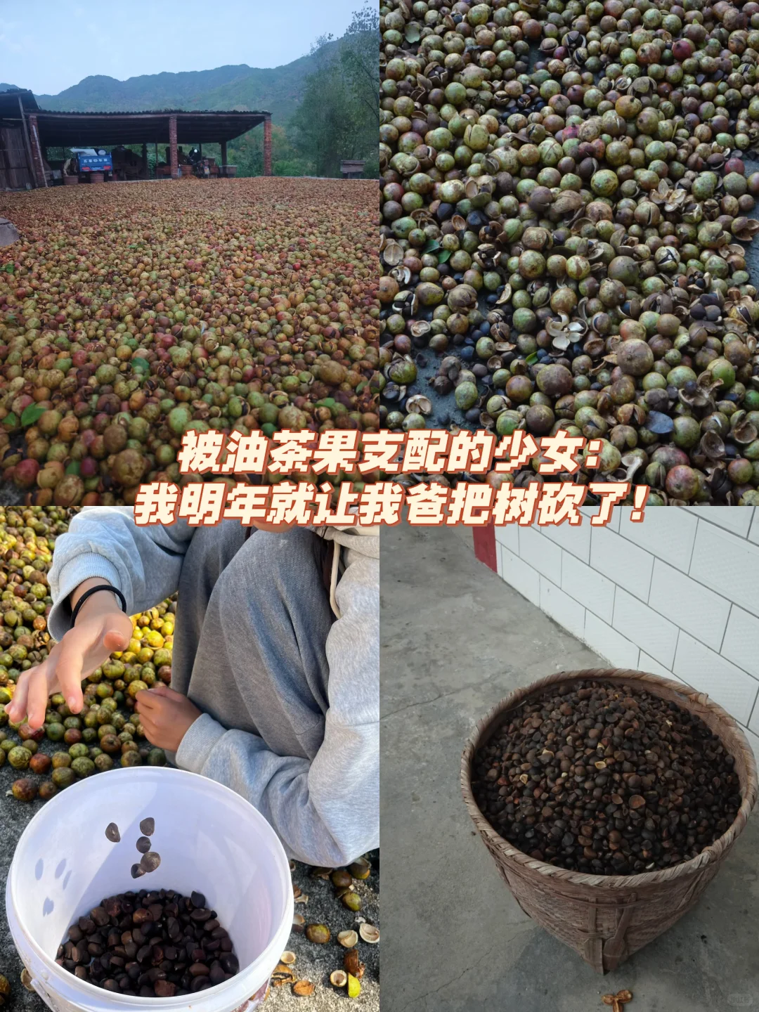 我被返乡务农的少女逗乐了