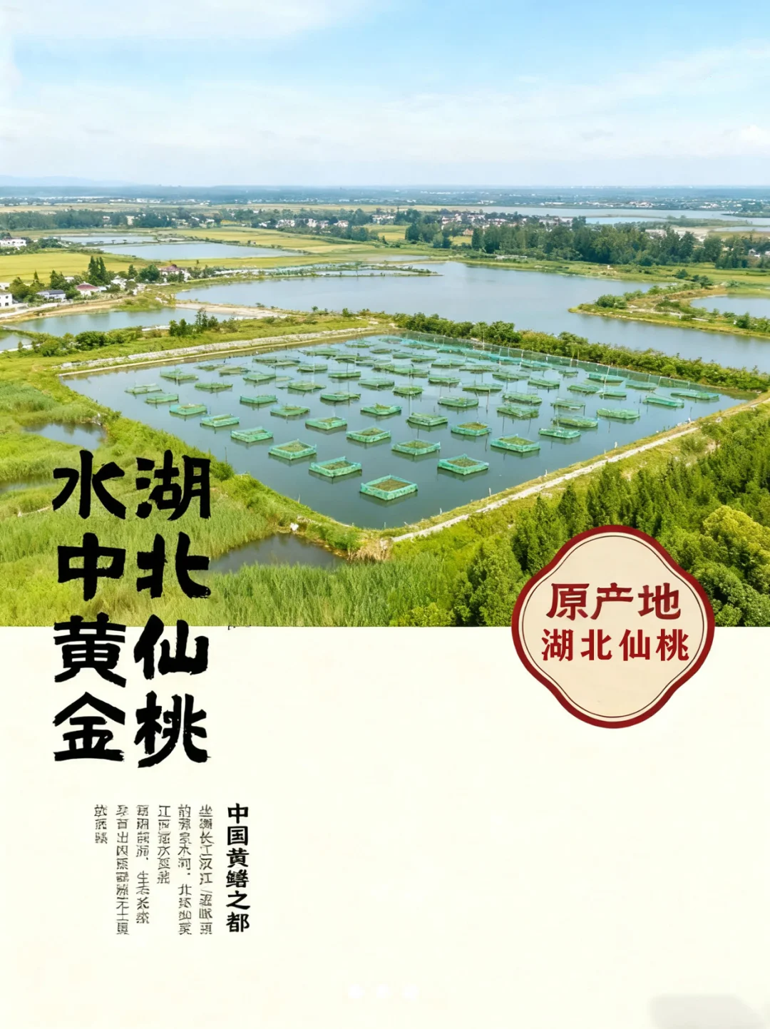 中国黄鳝之都，仙桃。