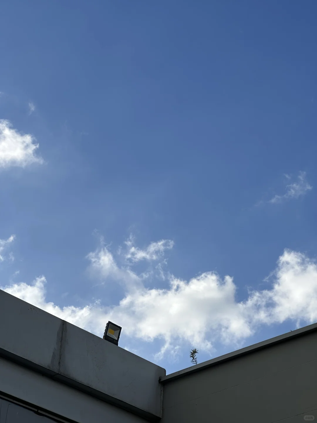 是谁在aaa建材批发市场拍片儿☁️?