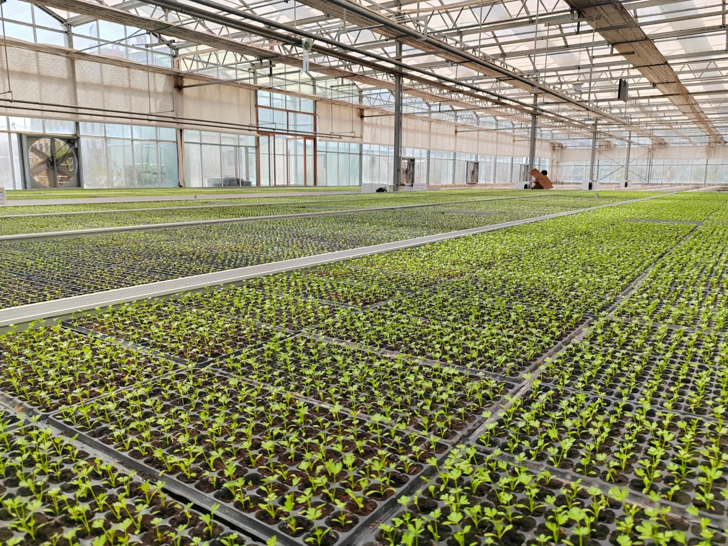 智能温室工厂化育苗