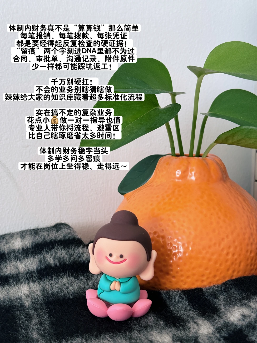 固定资产采购指南｜体制内财务照做不踩雷！