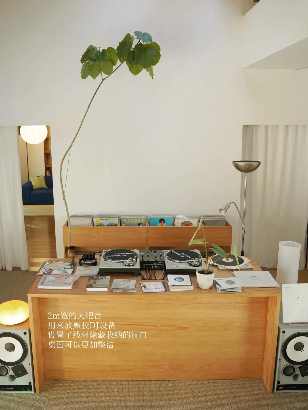 POV.你喜欢黑胶并且有个会点设计的wifie