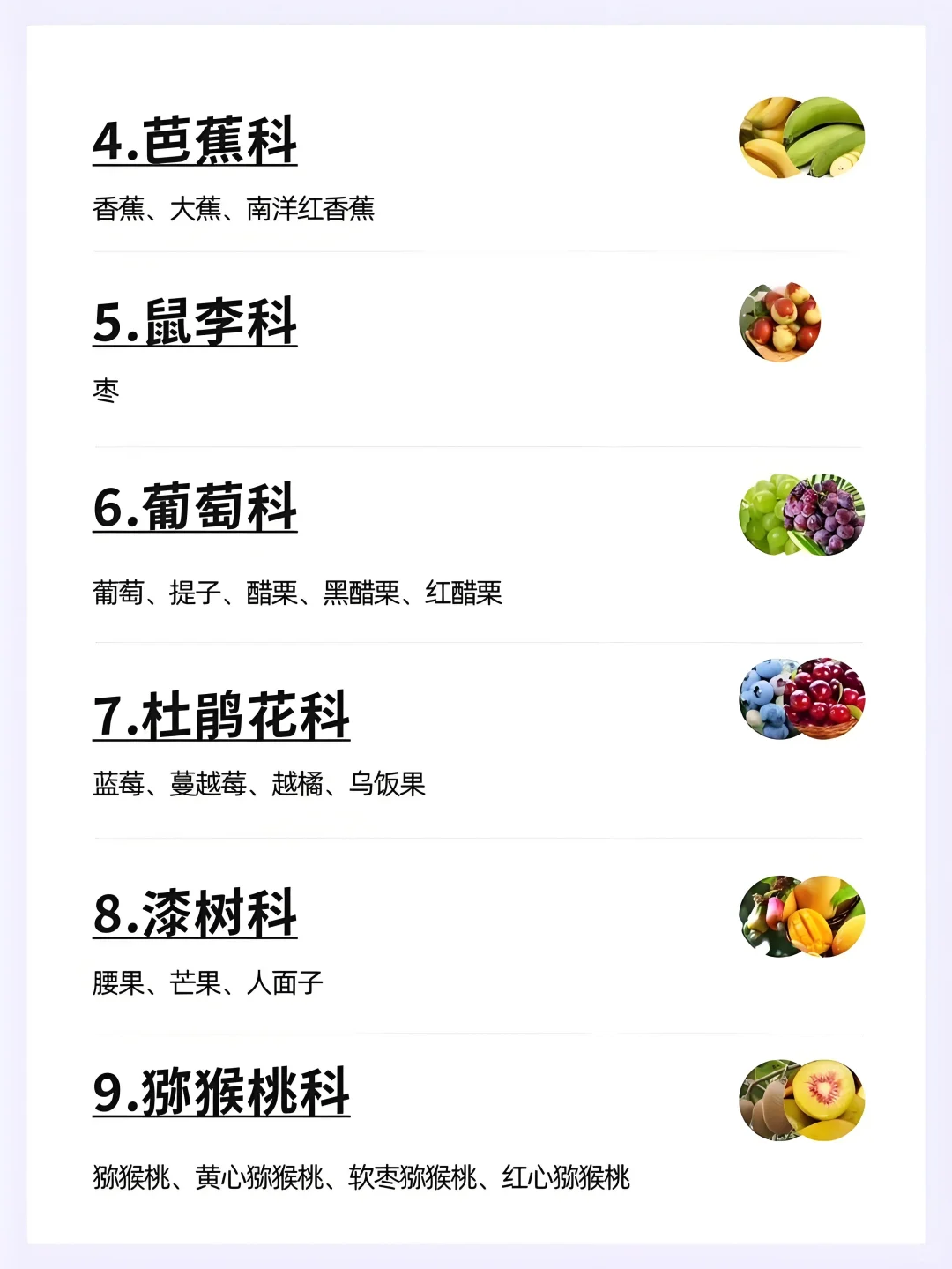 水果分类大全