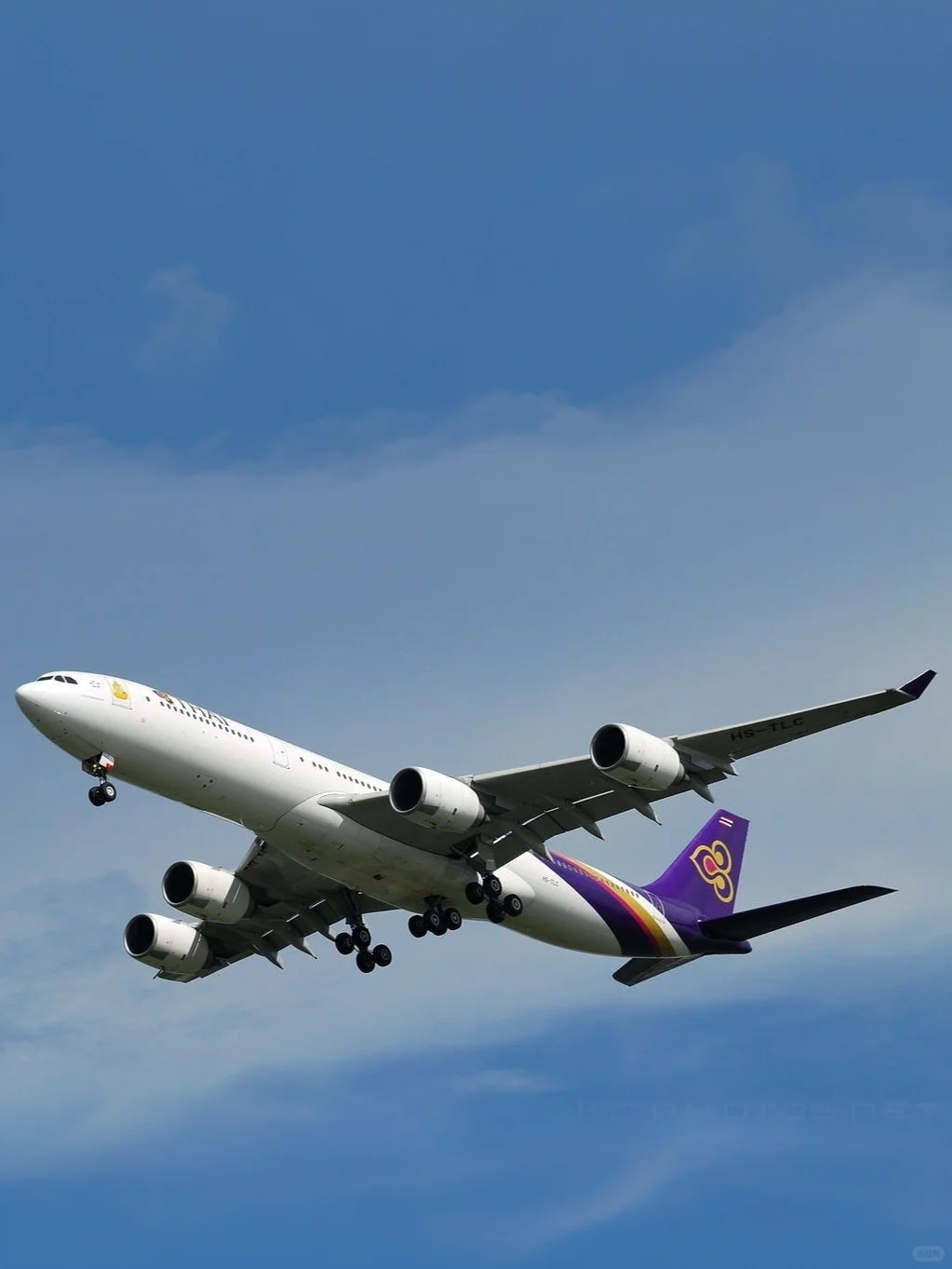 私人飞机(631)—泰国王室的空客A340
