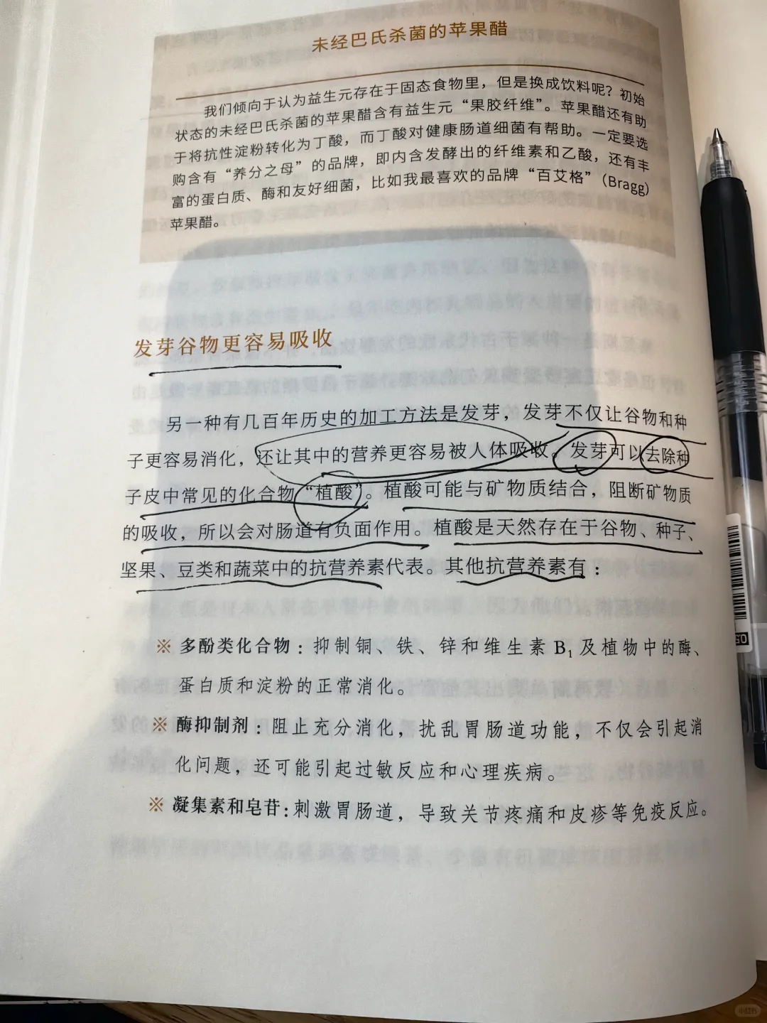 消化差的多吃发芽谷物
