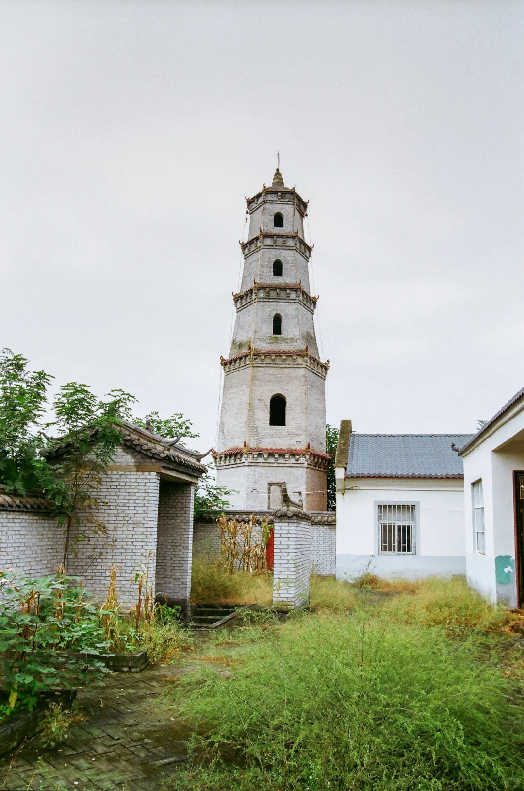 研岗村：河南漯河临颍县小村庄的秋天