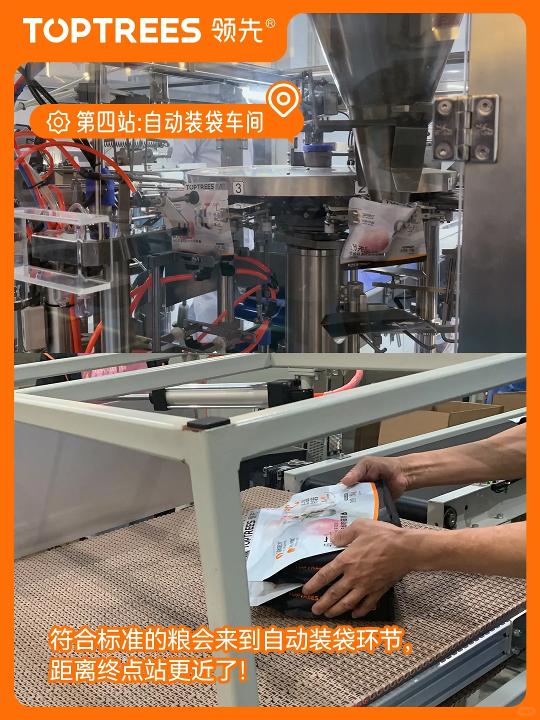 ?欢迎收看领先探厂plog！