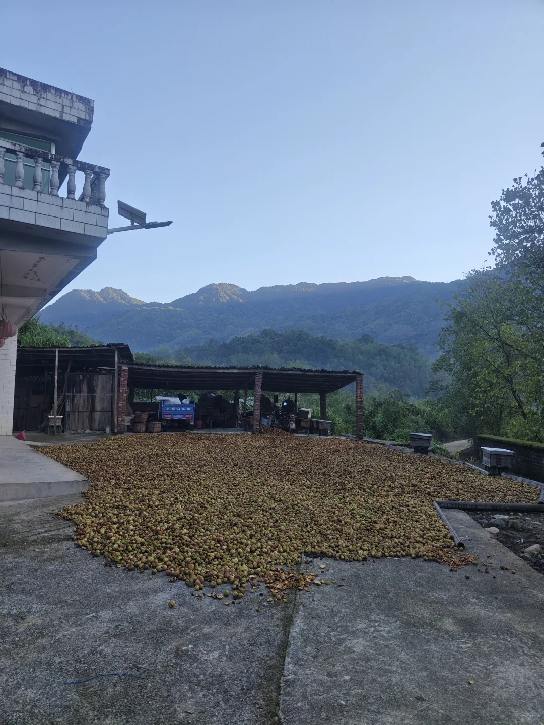 我被返乡务农的少女逗乐了