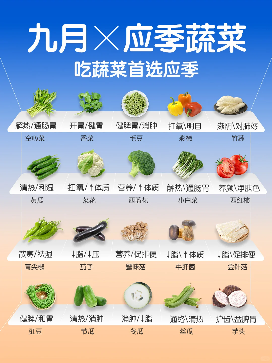9 ?️ 应季蔬菜速查? ｜吃蔬菜首选应季?