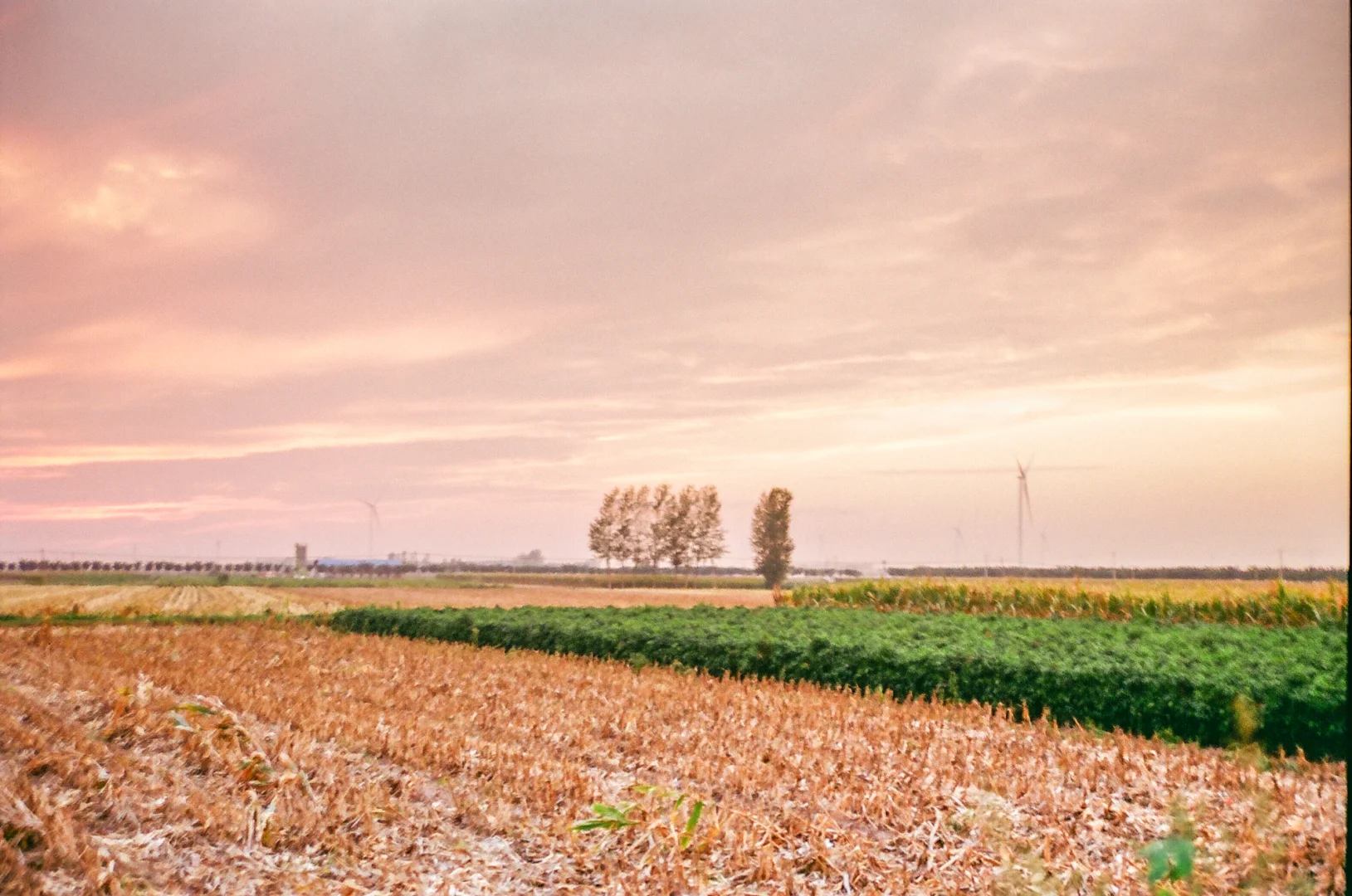 研岗村：河南漯河临颍县小村庄的秋天