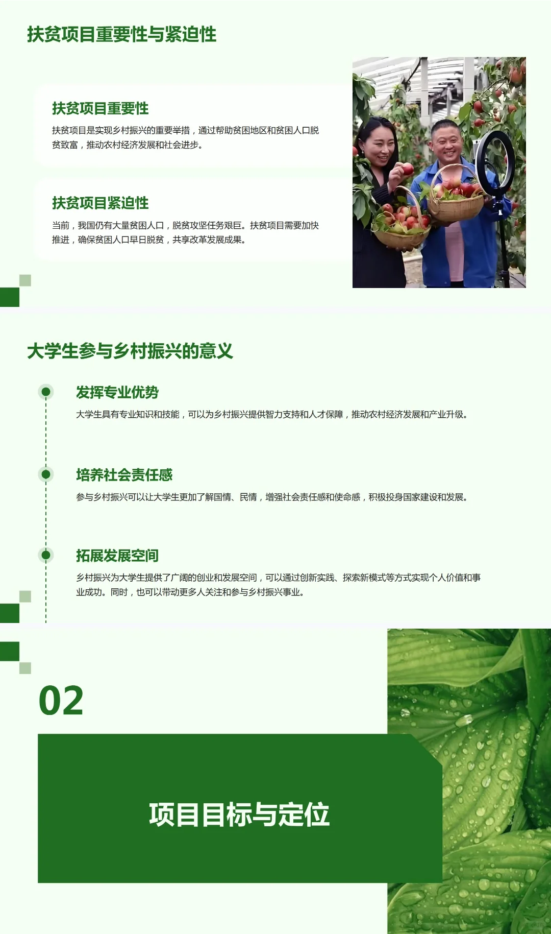 乡村振兴《农村电商扶贫项目》创业计划书