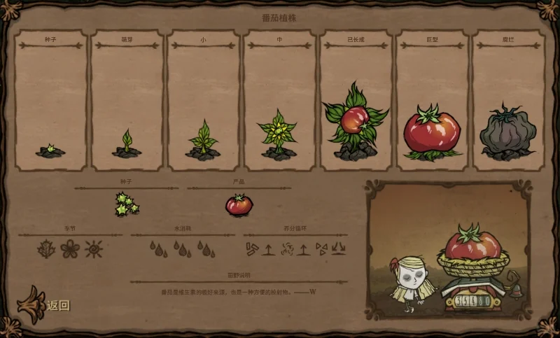 饥荒内14种类型的种子对应图鉴