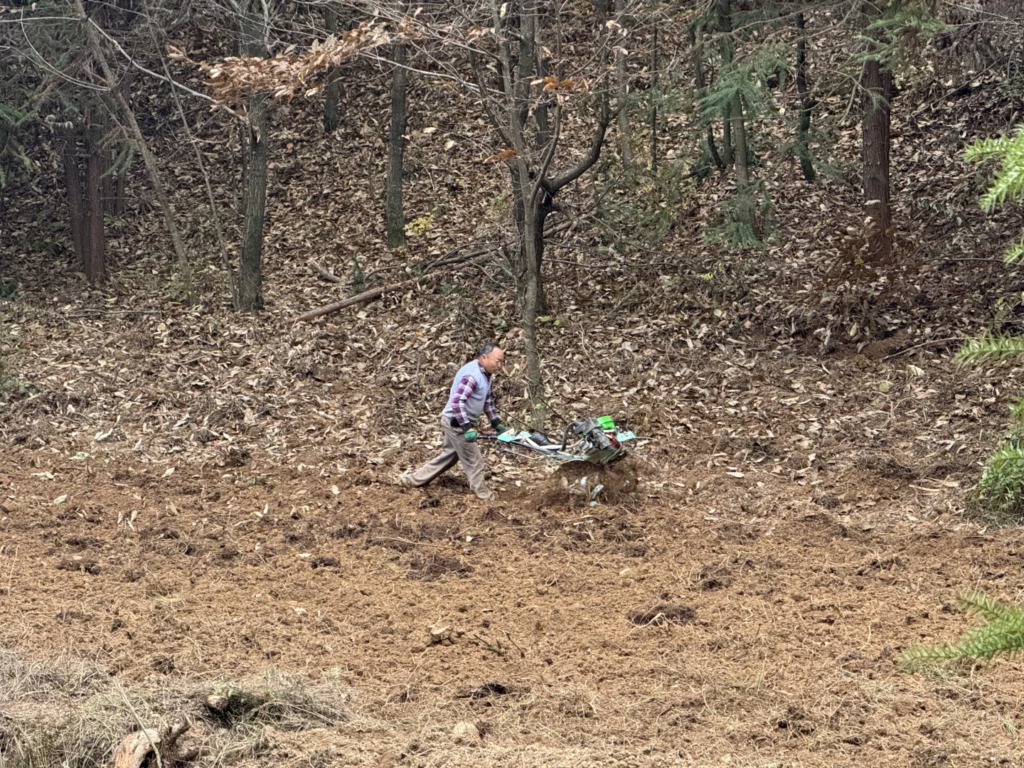 当千万富翁回到小山村搞投资