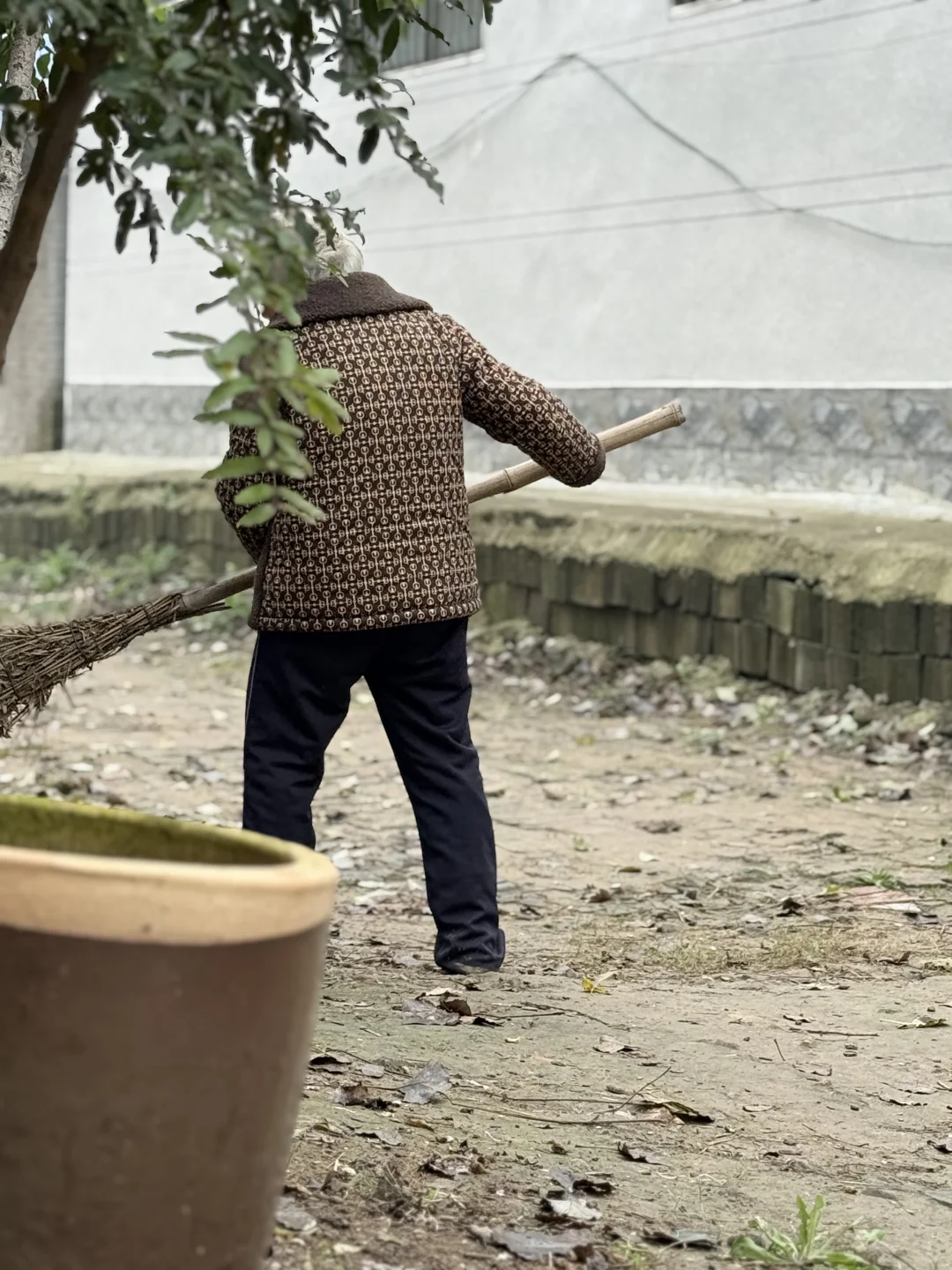 一叶之灵 窥尽全秋