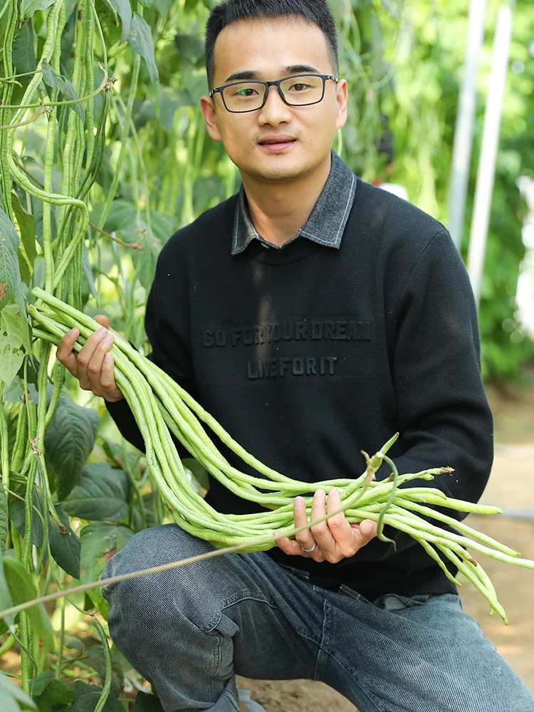 六七月，这些耐高温作物蔬菜还能种！