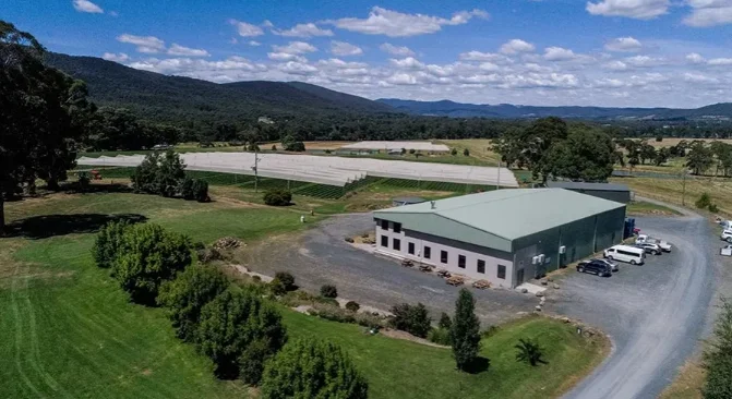 Millgrove草莓农场