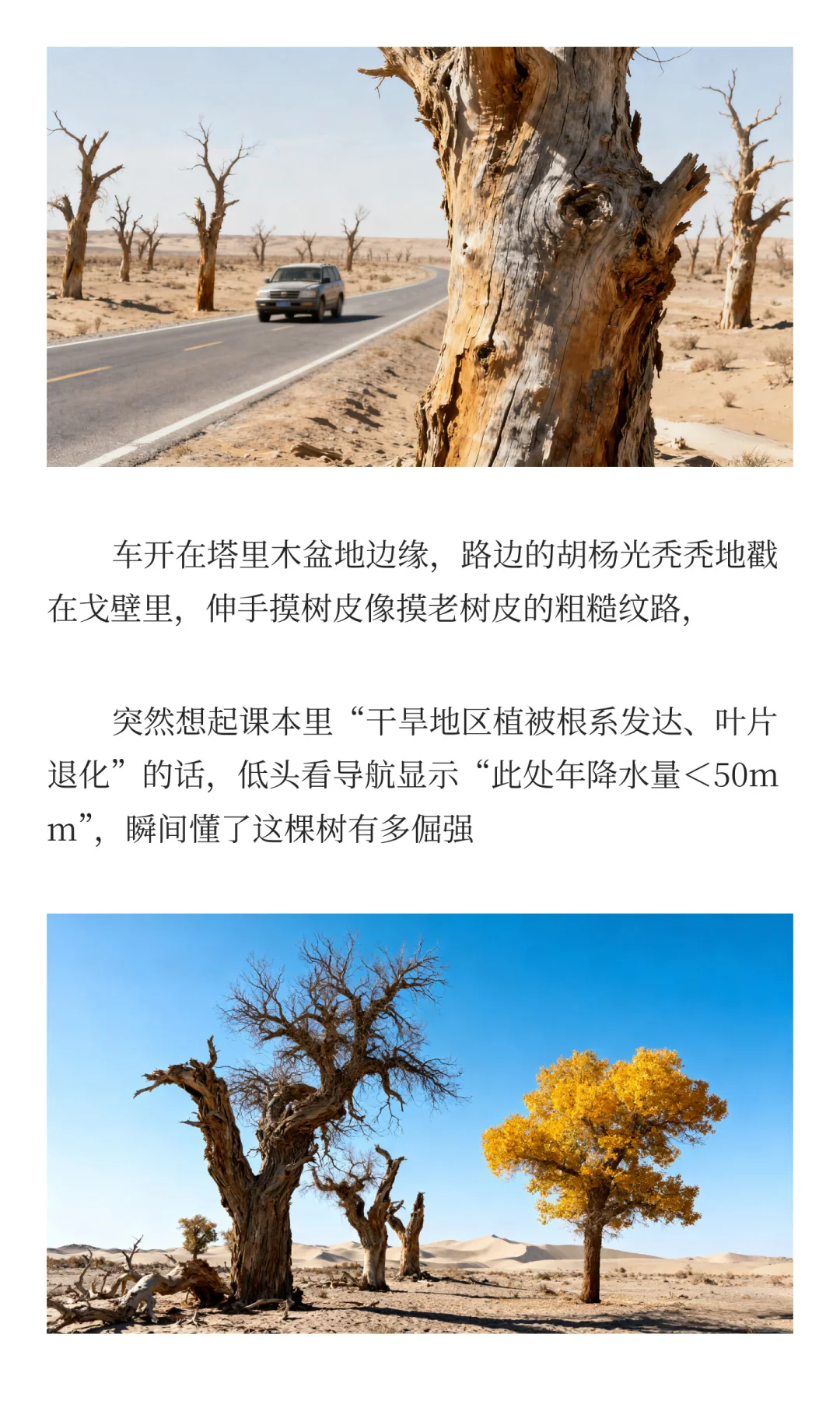 长大后才懂地理是生活的浪漫密码