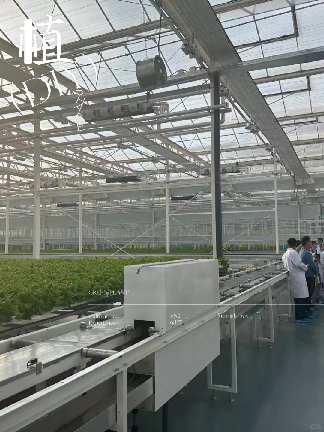 番茄工厂