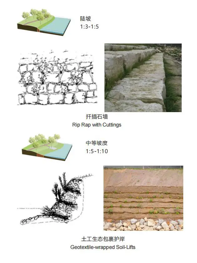 分析图|12类河岸生态修复的方法