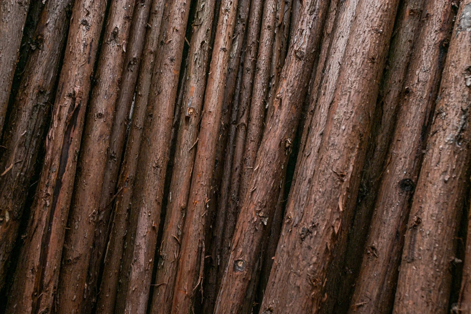 ✨ 宏达生资市场木材狂欢盛典！?