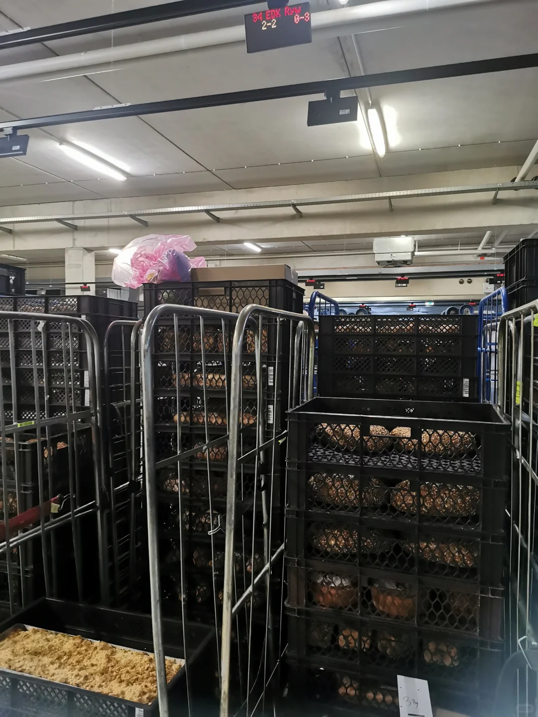 【论??面包房是否干净】1/2