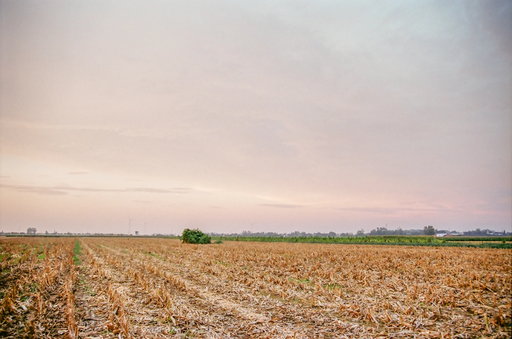 研岗村：河南漯河临颍县小村庄的秋天