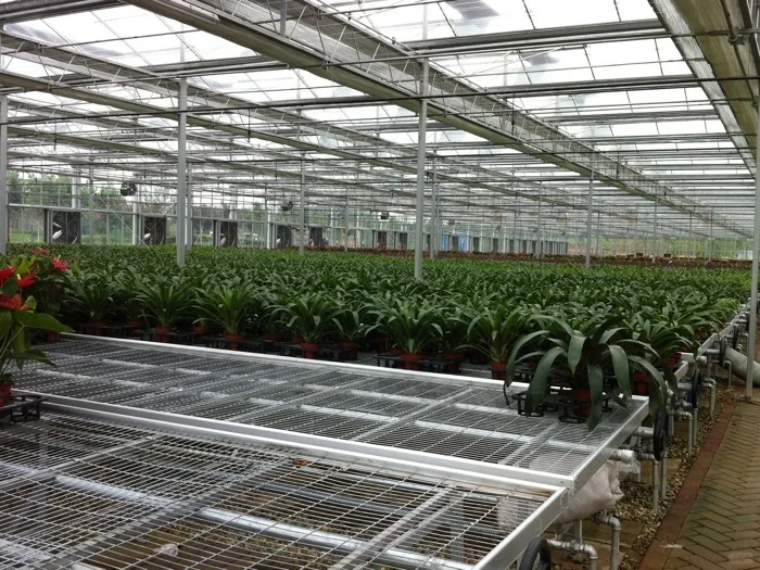 草莓种植槽，大棚栽培水槽：大棚工厂发货