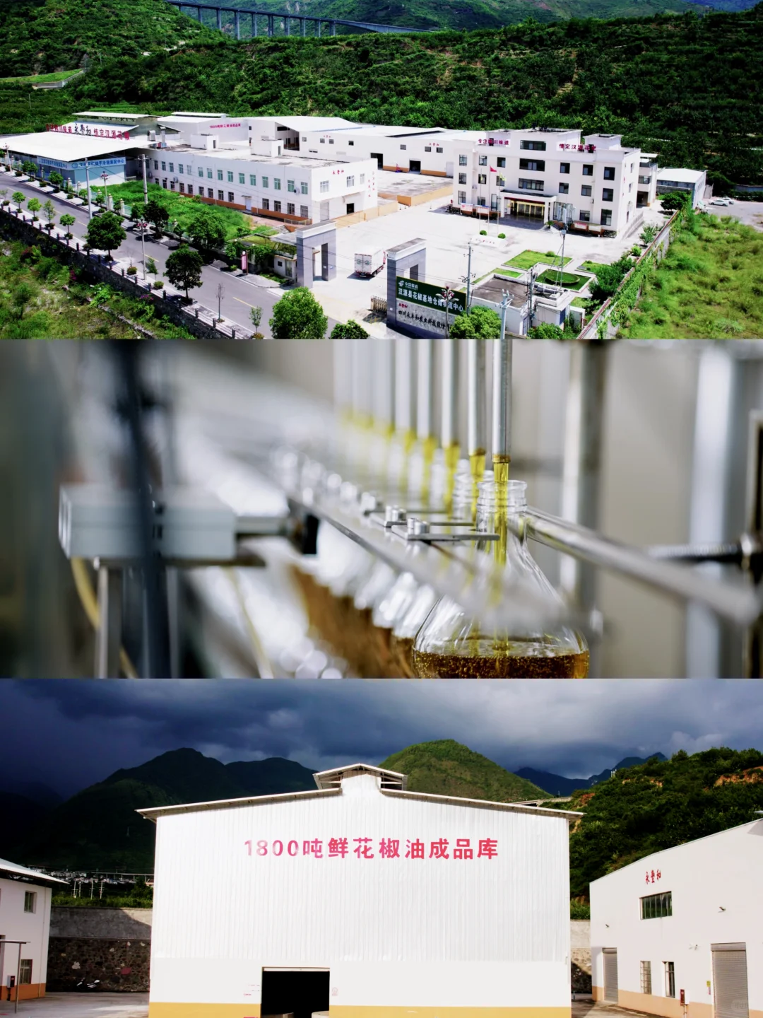 恭喜你❗️找到了汉源花椒源头工厂❗️
