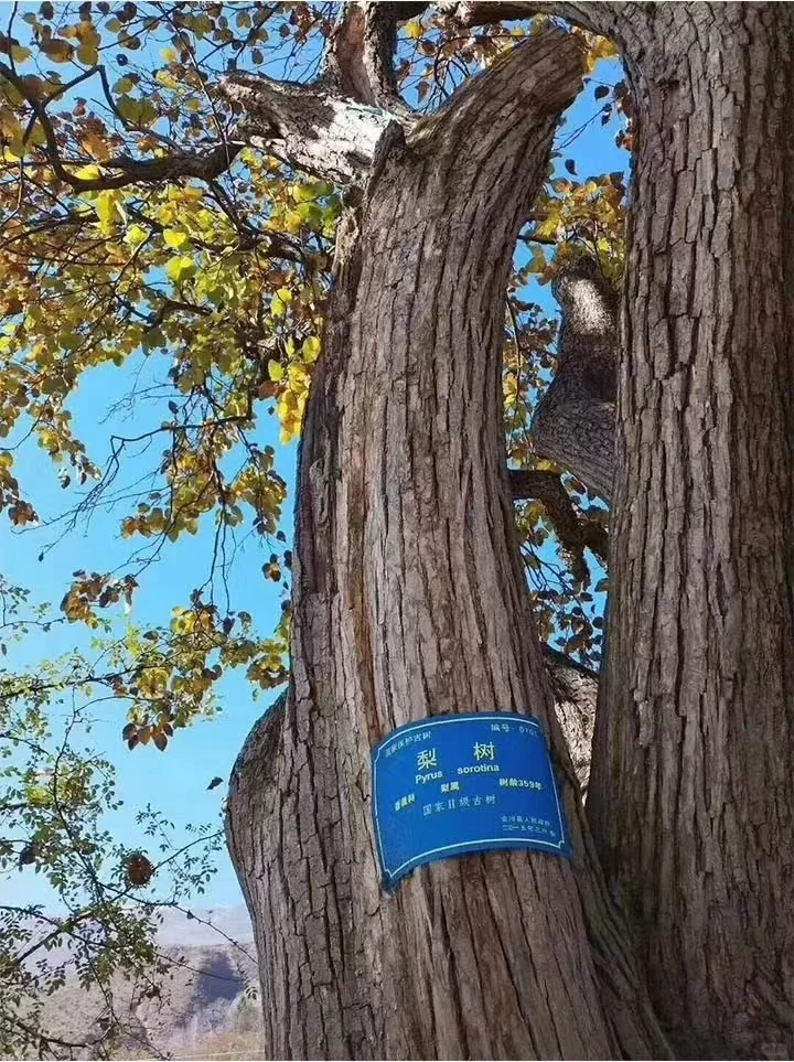 归农是非常好的平台，我希望他能帮助更多人