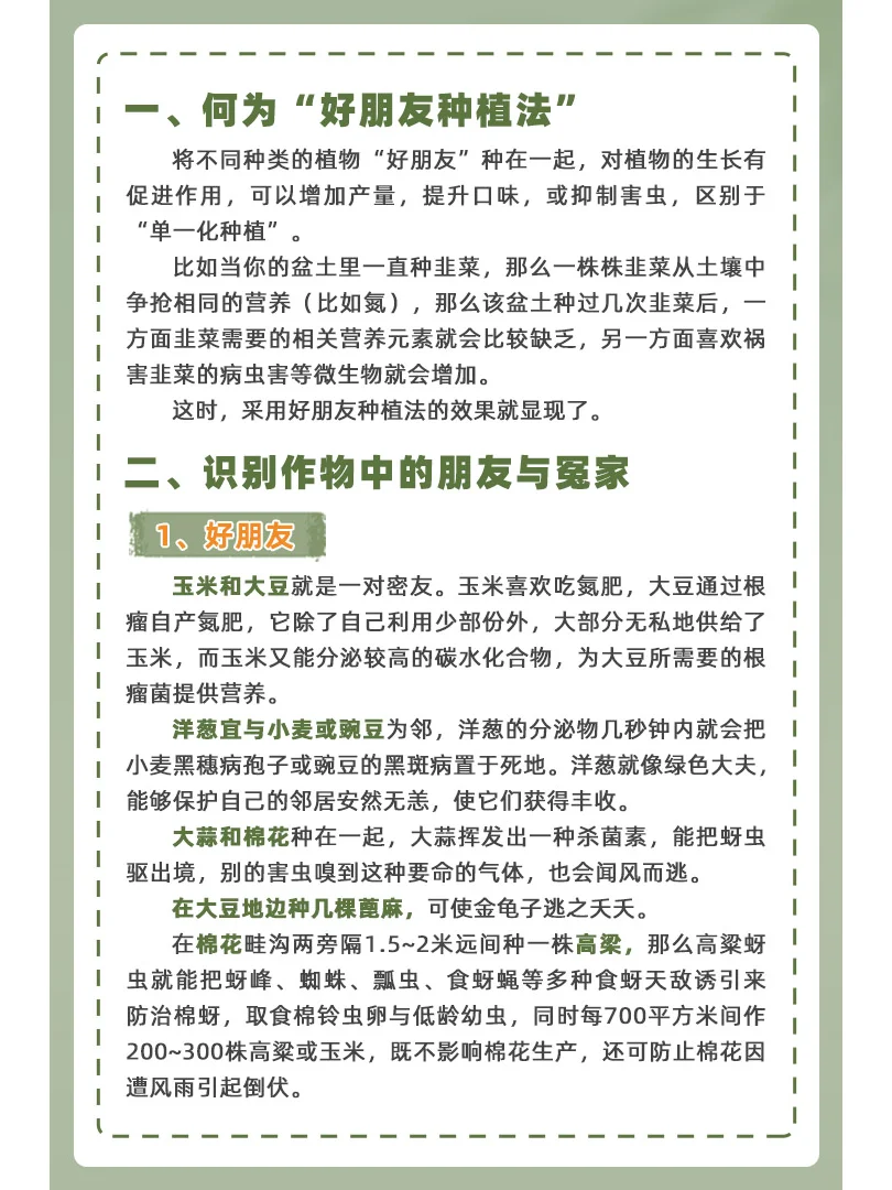 农作物也有朋友圈，好朋友种植法让收入翻倍