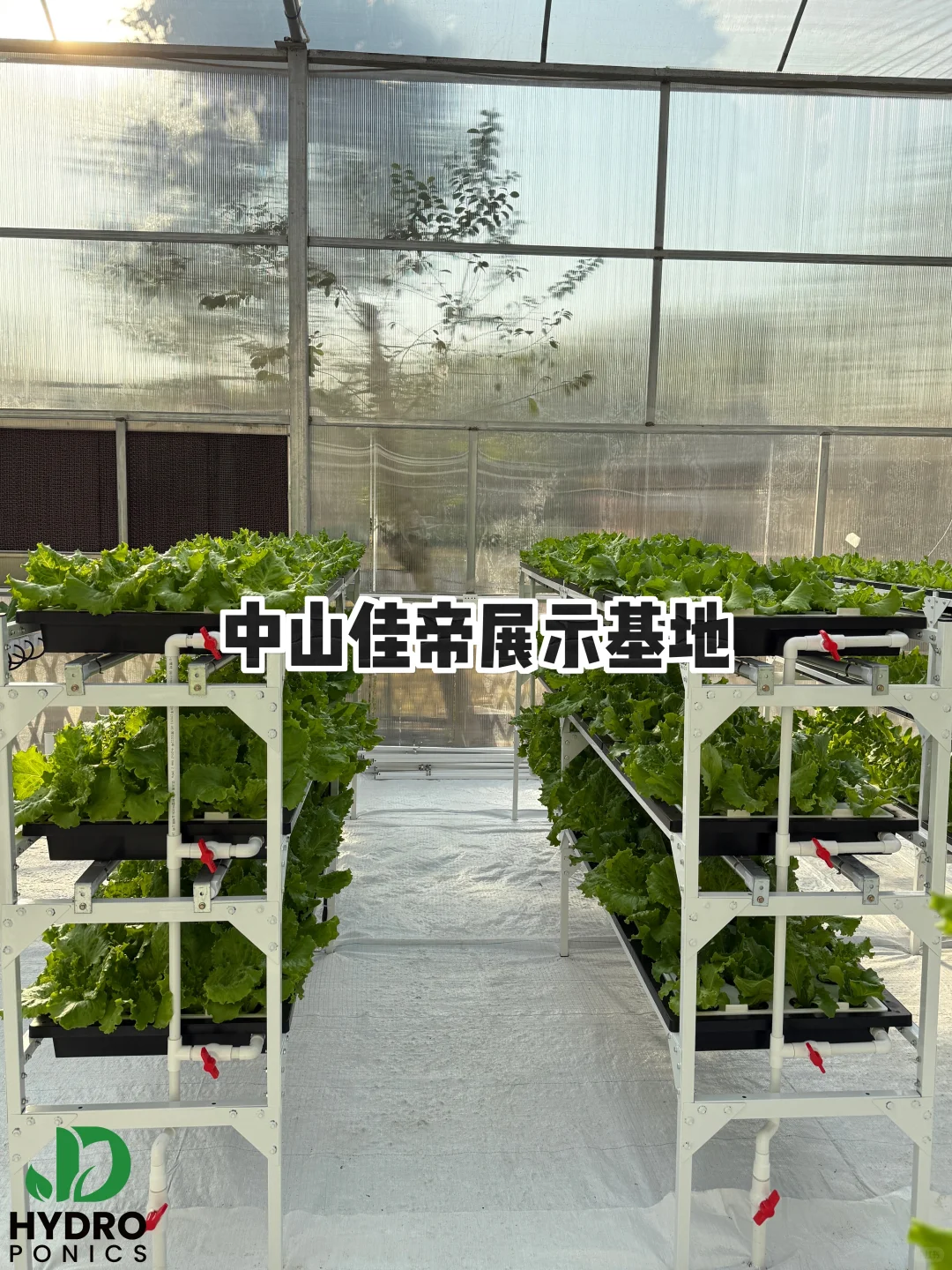 深耕农业十载，佳帝科技为你解锁种植新可能