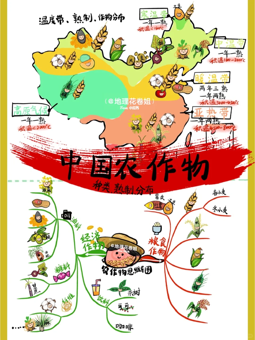 【中国地理农业篇】初高中必备?农作物