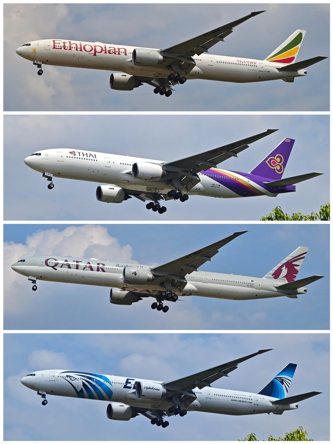 你最爱哪款宽体机？