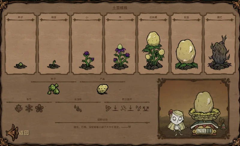 饥荒内14种类型的种子对应图鉴