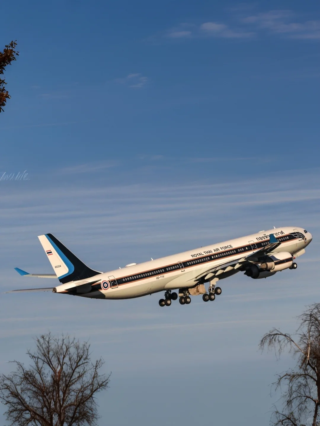私人飞机(631)—泰国王室的空客A340