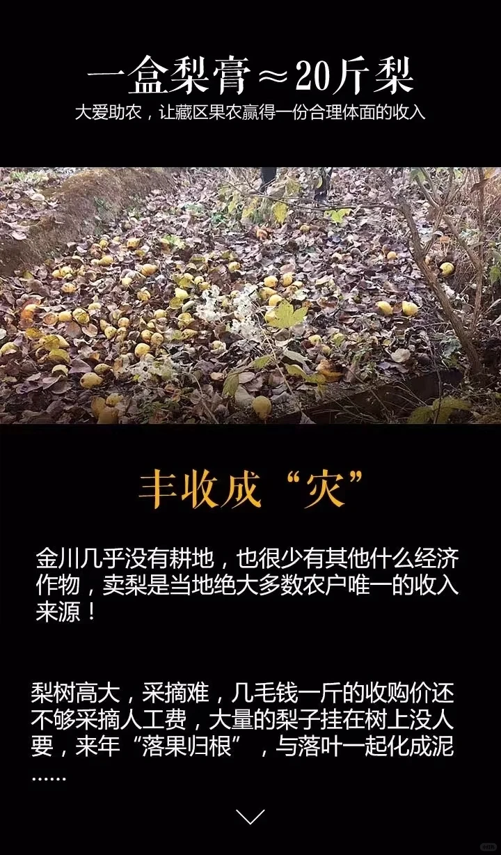 归农是非常好的平台，我希望他能帮助更多人